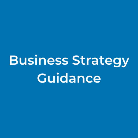 Business Strategy Guidance