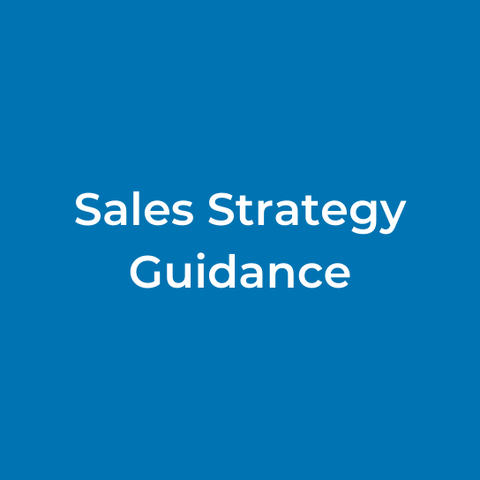 Sales Strategy Guidance