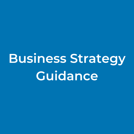 Business Strategy Guidance
